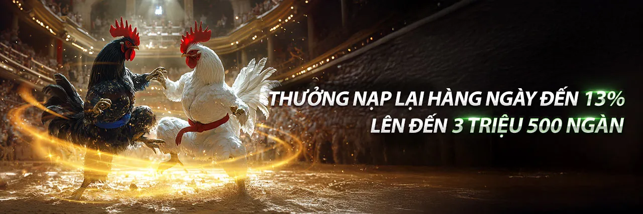 Đá gà trực tiếp tại Thomo
